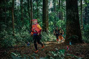 BIB: 
                            <button type="button" onclick="openModal(26128143)" class="btn btn-primary btn-sm float-right btn-popup" data-toggle="modal" data-target=".modal-high-quality">
                        <i class="fas fa-shopping-cart"></i> Add to Cart
                    </button>
                                            <button type="button" onclick="isThisMe(26128143, true)" class="btn btn-success btn-sm float-right btn-popup btn-isme hidden" data-toggle="tooltip" data-placement="bottom" title="นี่คือรูปของคุณใช่ไหม คลิกที่นี่เพื่อเอาเข้าอัลบั้ม">
                        <i class="fas fa-plus"></i> Add to album
                    </button>
                    <button type="button" onclick="isThisMe(26128143, false)" class="btn btn-warning btn-sm float-right btn-popup btn-isnotme hidden">
                        <i class="fas fa-ban"></i> Remove from album
                    </button>